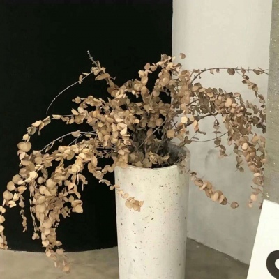 Furry插画手绘教程Furry群